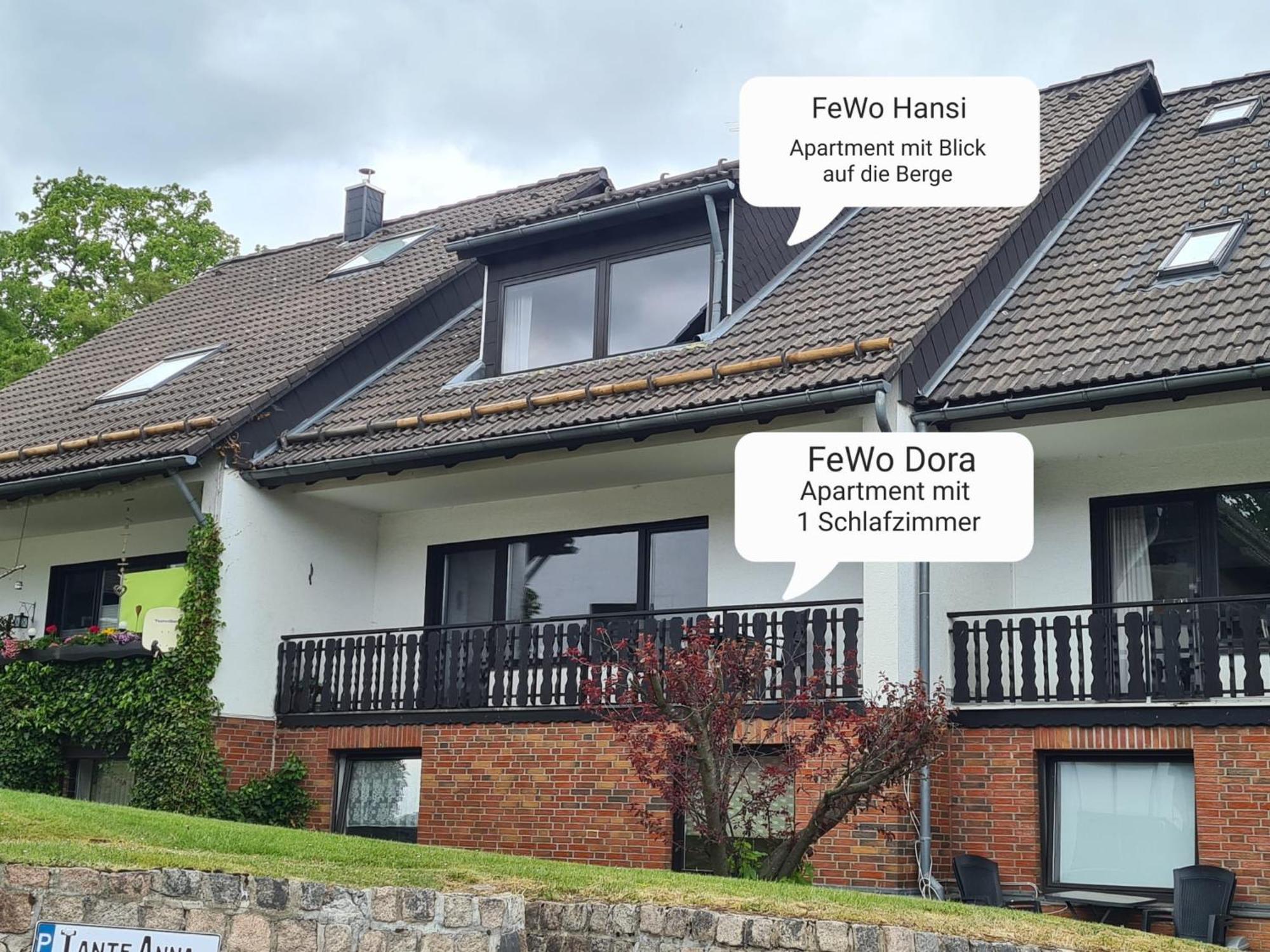Ferienwohnungen Dora Und Hansi Braunlage Dış mekan fotoğraf